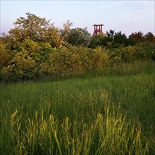 Pluto spoil tip with vegetation and the double trestle above shaft 3 of Pluto colliery, Herne, Ruhr