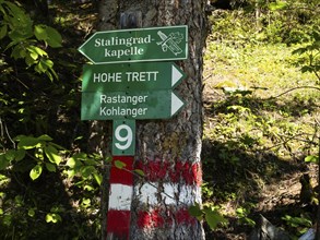 Signpost, path to the Stalingrad Chapel, near Aigen im Ennstal, Styria, Austria, Europe