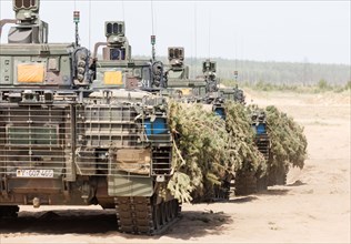 Cougar infantry fighting vehicles are camouflaged and deployed as part of the NATO Steadfast