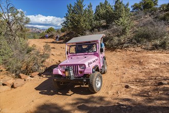 Pink jeep from Pink Jeep Tours passes hikers resting along the rough road used by off-road vehicles