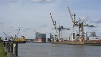 View over the Hamburg harbour with cranes, behind the Elbe Philharmonic Hall, Panorama, Hanseatic