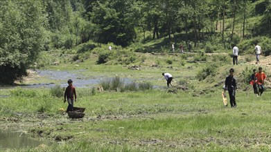 Group of people scattered around a lush green meadow and stream on a summer day, Jammu and Kashmir,