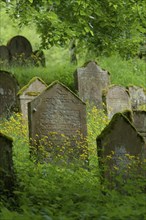 Jewish cemetery, Kochertal, Kocher, Schwaebisch Hall, Baden-Wuerttemberg, Germany, Europe