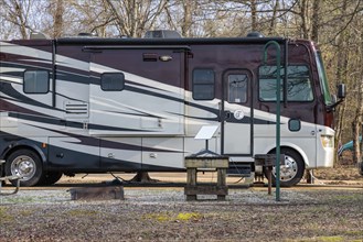Motorhome with Starlink satellite antenna for internet access at Blue Bluff Campground near