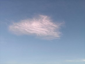 Pink cloud illuminated by the sun in the late afternoon in front of evening Feather cloud Veil