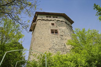 Sponeck Castle, Jechtingen, Sasbach am Kaiserstuhl, Baden-Wuerttemberg, Germany, Europe