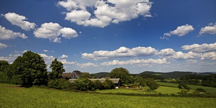 Hilly landscape with farm, blue sky and clouds, Wetter (Ruhr), Ruhr area, North Rhine-Westphalia,