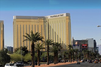 Las Vegas, Nevada, USA, North America, A street with several cars and the Mandalay Bay Hotel and