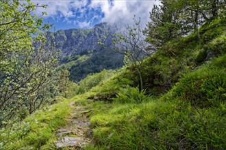 Hiking trail at Passo Croce in the Garfagnana mountain landscape to the peaks of the Apuan Alps,