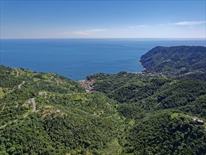 Wooded slopes in the landscape around the small town of Levanto on the Ligurian coast, Liguria,