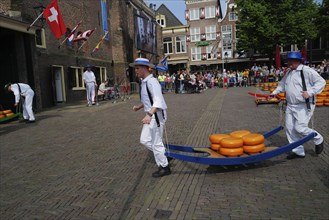 Cheese bearers carry Dutch cheese across a market yard at a Friday market in Holland. Alkmaar,