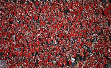 Fan curve, fan block, many fans in red, atmospheric, 1. FC Kaiserslautern, 81st DFB Cup Final 2024,