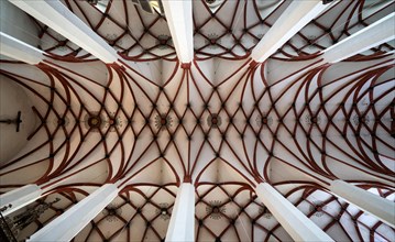 Ribbed vault, church ceiling, ceiling, St Thomas' Church, Leipzig, Saxony, Germany, Europe