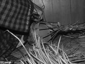 Close-up of hands weaving a basket with wicker materials, highlighting a traditional crafting