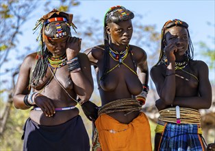 Hakaona woman with traditional kapapo hairstyle, Angolan tribe of the Hakaona, near Opuwo, Kunene,