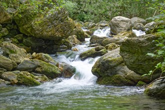 Turrite Secca, a mountain stream in the Tuscan Garfagnana between the Apuan Alps and the Apennine