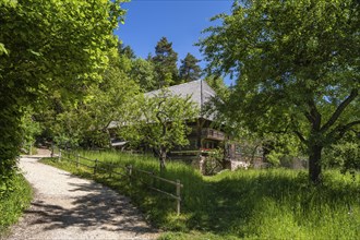 Traditionally built, old Black Forest house, Haldenhof, built around 1669, original location: