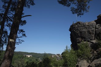 Grandfather Rock, part of the Devil's Wall, behind it Blankenburg Castle in the Harz Mountains,