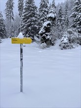 Snowfall at Spitzingsattel, hiking signpost, Bavaria, Germany, Europe