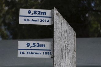 Wooden posts with flood marks and historical flood levels of the Elbe, Hohenwarthe, Saxony-Anhalt,