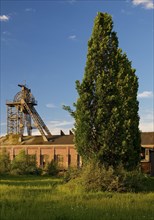 Gneisenau neighbourhood park with machine hall and Tomson-buck, Dortmund, Ruhr area, North