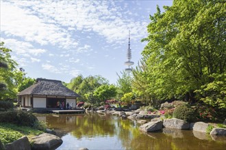 Teahouse in the Japanese Garden in the Planten un Blomen park with Hamburg television tower and