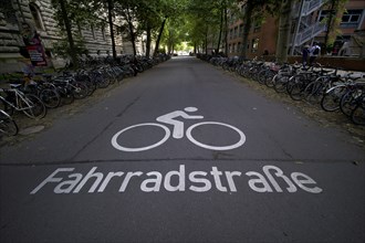 Bicycle lane, logo on asphalt, bicycles, parked, Leipzig, Saxony, Germany, Europe
