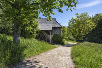 Traditional sawmill, built around 1766, high gang saw, original location: Unterkirnach in the Black