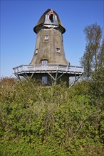 Historic windmill without sails in Garding parish, North Friesland district, Schleswig-Holstein,