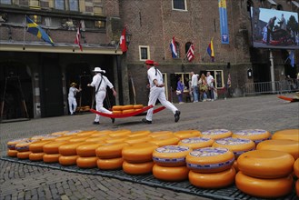 Cheese bearers carry a heavy load of cheese quickly to the main building at the Friday market.,
