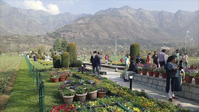 Visitors enjoying a beautiful garden with vibrant flowers, surrounded by mountains on a sunny day,