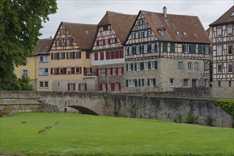 Nile geese on the Grasboedele, half-timbered house, old town, Kocher valley, Kocher, Schwaebisch