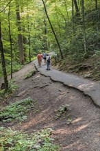 Family walking on paved portion of Laurel Falls Trail in Great Smoky Mountains National Park,