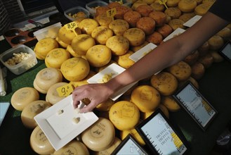 A person reaches to sample some Dutch cheese at a cheese market. Alkmaar, Netherlands