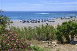Beach of Frangokastello with sunshades and sunbeds, left in the foreground flowering shrub oleander