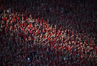 Fan curve, fan block, many fans in red, atmospheric, light and shadow, 1. FC Kaiserslautern, 81st