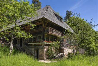Traditionally built, old Black Forest house, Haldenhof, built around 1669, original location: