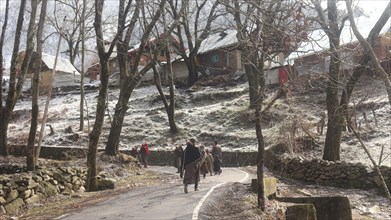 People walking along a path through a rural area with trees and houses, some covered in snow, Jammu