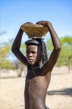 Hakaona girl with traditional kapapo hairstyle, portrait, wearing basket on her head, Angolan tribe