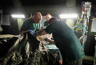 Soldiers from the Bundeswehr medical service simulate the care of the wounded under operational