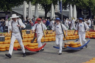 Four cheese bearers carry heavy Beemster dutch cheese on market day. Alkmaar, Netherlands