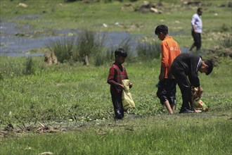 Children exploring a grassy area near water, surrounded by summer greenery, Jammu and Kashmir,
