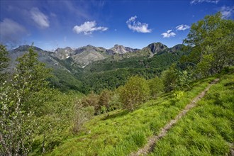 Hiking trail in front of the mountain panorama at Passo Croce in the Garfagnana mountain landscape