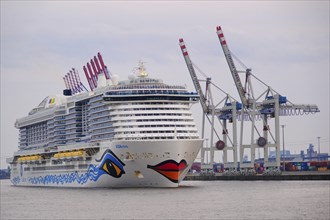 Cruise ship in Hamburg harbour, Hanseatic City of Hamburg, Hamburg, Germany, Europe