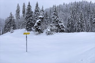 Snowfall at Spitzingsattel, hiking signpost, Bavaria, Germany, Europe
