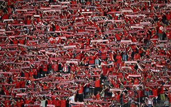 Fan curve, fan block, scarves, many fans in red, atmospheric, 1. FC Kaiserslautern, 81st DFB Cup