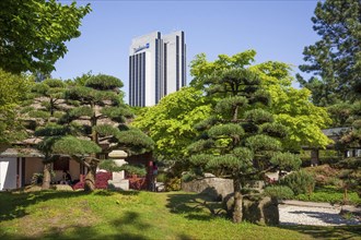 Japanese garden in the Planten un Blomen park with Radisson Blu Hotel and teahouse in spring,