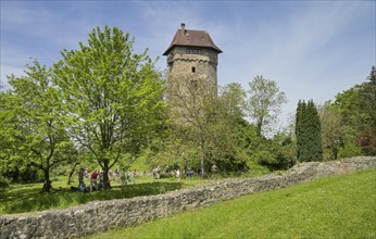 Sponeck Castle, Jechtingen, Sasbach am Kaiserstuhl, Baden-Wuerttemberg, Germany, Europe