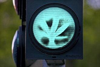 Green traffic light with a hemp leaf, legalisation, cannabis law, symbolic photo, Dortmund, Ruhr