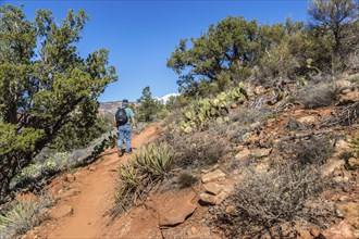 Senior man hiking a trail in Sedona, Arizona, USA, North America